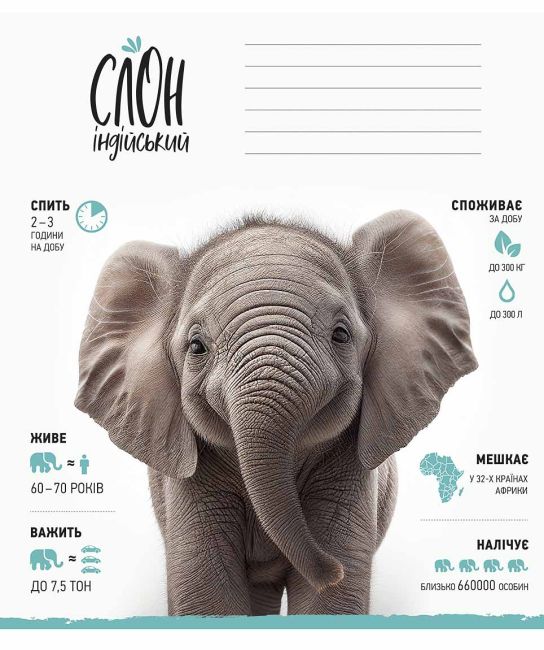 Зошит учнівський, 12арк., у лінію, ВД-лак, Школярик - фото 5