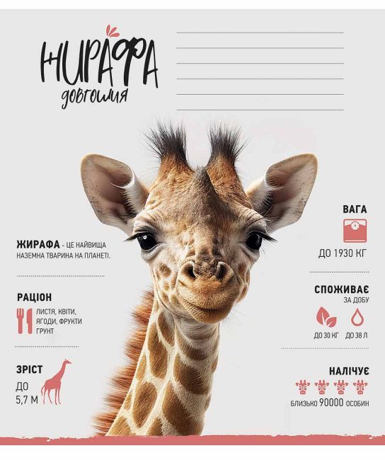 Зошит учнівський, 12арк., у лінію, ВД-лак, Школярик - фото 6