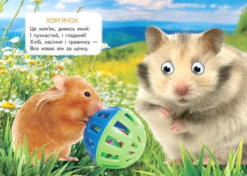 Ферма Вид-во: Пегас - фото 5