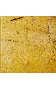 David Hammons Авт: David Hammons Вид-во: Hauser & Wirth Publishers