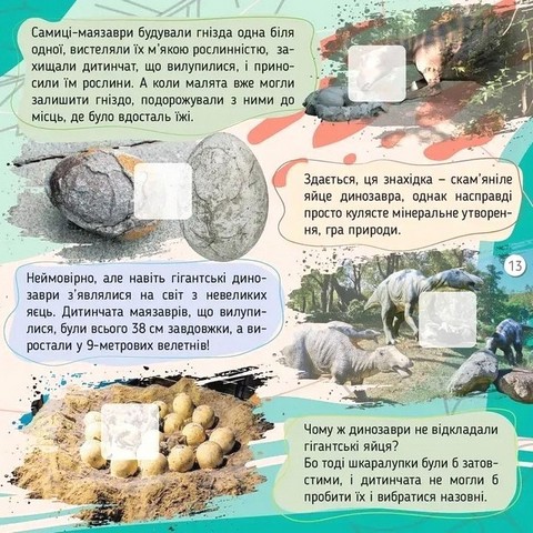 100 цікавинок Динозаври Авт: Катерина Шаповалова Вид-во: Талант - фото 5