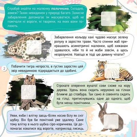 100 цікавинок Комахи Авт: Катерина Шаповалова Вид-во: Талант - фото 2