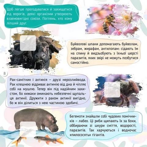 100 цікавинок Тварини Авт: Катерина Шаповалова Вид-во: Талант - фото 4