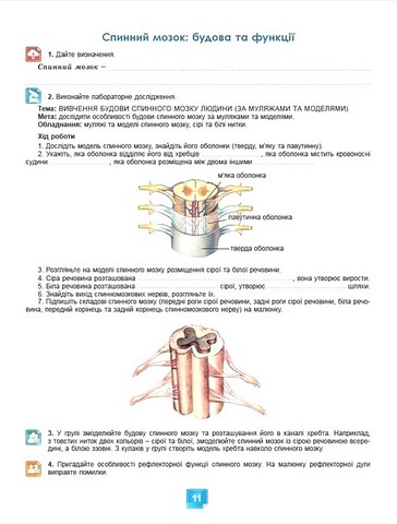 Біологія. 8 клас. Робочий зошит - фото 2