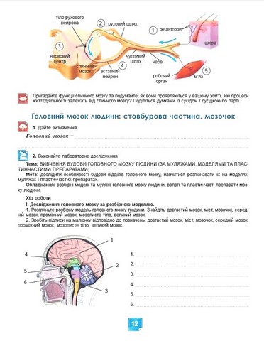 Біологія. 8 клас. Робочий зошит - фото 3