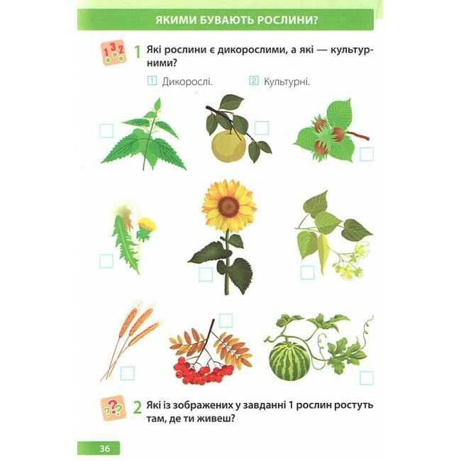 Робочий зошит Я досліджую світ 1 клас Частина 2 НУШ До підручника І. Грущинської та ін. Авт: І. Жаркова Л. Мечник Вид-во: Пiдручники i посiбники - фото 5