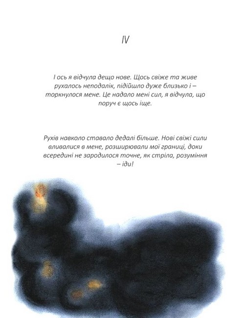 Коротка довга історія Авт: Ніна Усольцева Вид-во: Наірі - фото 2