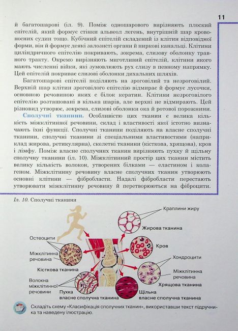 Підручник Біологія 8 клас НУШ Авт: А. Чернінський та ін. Вид-во: Школяр - фото 10