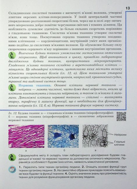 Підручник Біологія 8 клас НУШ Авт: А. Чернінський та ін. Вид-во: Школяр - фото 12