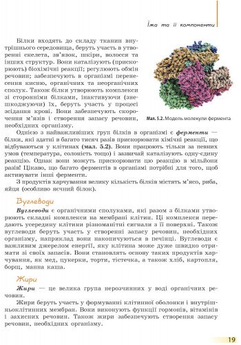 Підручник Біологія 8 клас Нова програма Авт: Задорожний К. Вид-во: Ранок - фото 5