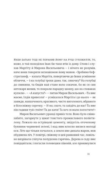 Іван і Феба Авт: О. Луцишина Вид-во: ВСЛ - фото 2